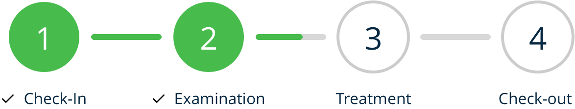 Example of a progress indicator for a travel sheet in a veterinary hospital.