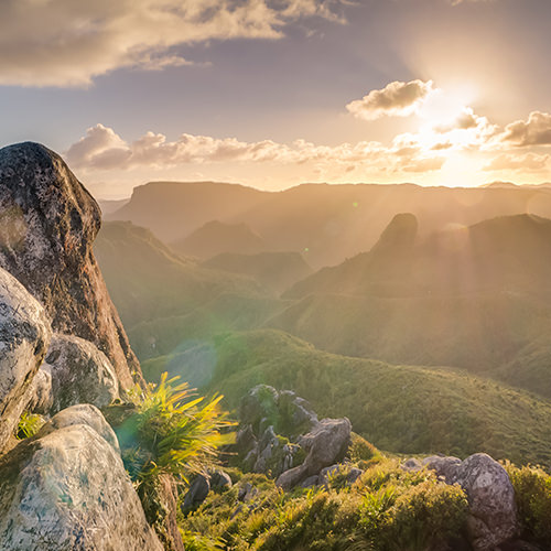 An Approach to Artificial Intelligence in 2020