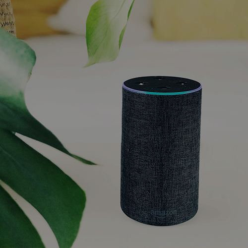 Getting Started with Voice UI