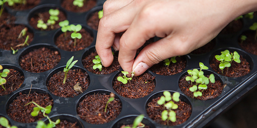 Can Design Bridge the Gap Between Sustainable Values and Behavior?