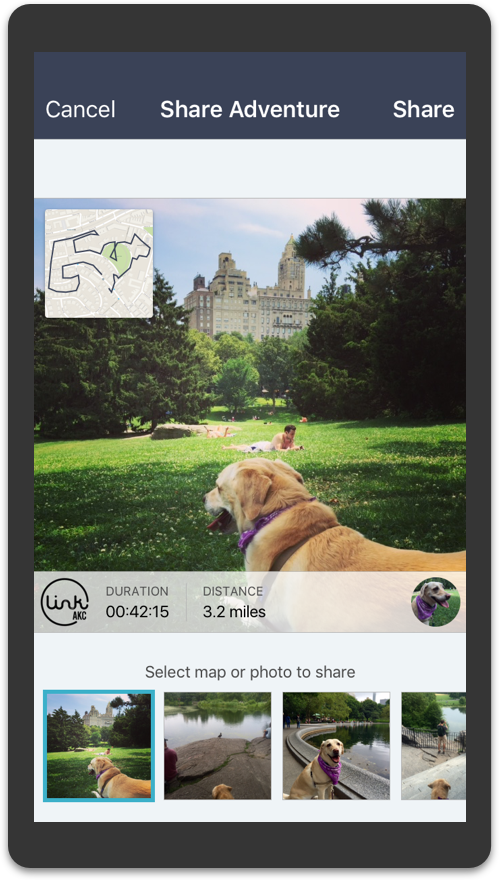 App adventure screen